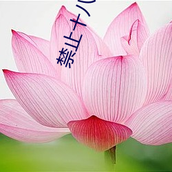 禁止十八末成年看芒果