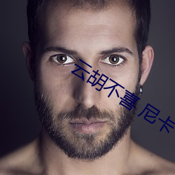 云(雲)胡不喜 尼卡(卡)