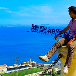 腹黑神医桃(桃)花(花)多