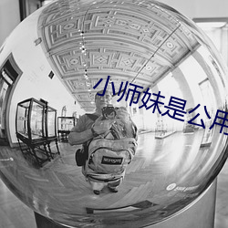 小師妹是公用鼎爐
