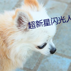 凯时|AG(AsiaGaming)优质运营商