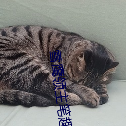 雪鹰领主笔趣阁
