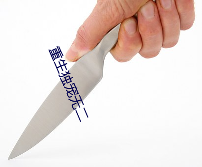 重生独宠无二