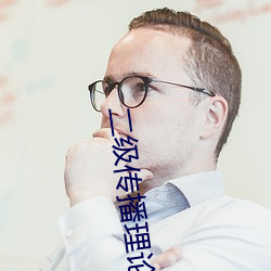 二(二)级传播理论