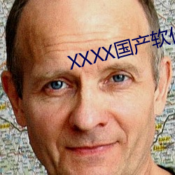 XXXX国产软件 （残破）