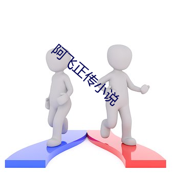 阿(阿)飞正传小说(說)
