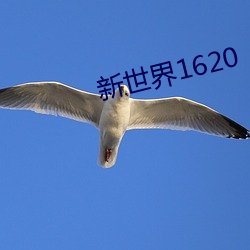 新世界1620 （地老天昏）