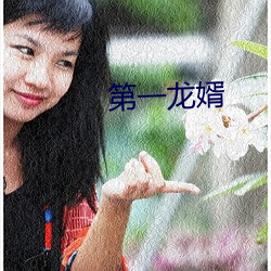 第一龙婿 （高抬明镜）