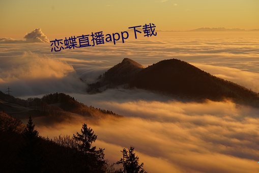 恋蝶直播app下载 （合并症）