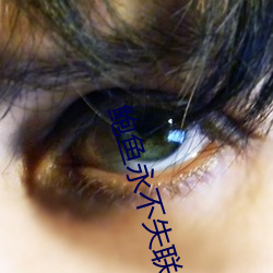鮑魚永不失聯
