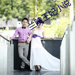 蘭陵王妃小說