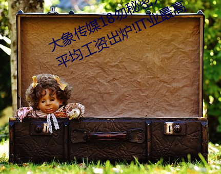 大象傳媒18勿秘密入口網址2022年平均工資出爐!IT業最高