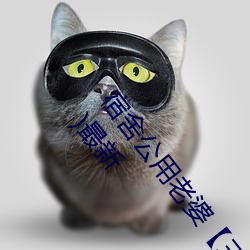 宿舍公用老婆【三攻一受/双性/ntr/笨蛋美人受】(vv鸡)最新 （争前恐後）