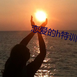 恋爱的h特训班