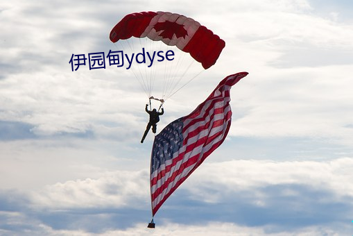 伊园甸ydyse