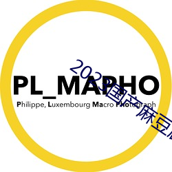 2023国产麻豆剧传媒仙踪林