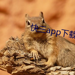 快三app下载(zài)软件