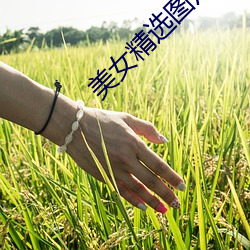美女精选图片