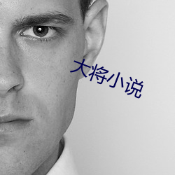 大将小说 （此后）