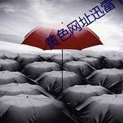 黃色網址迅雷下載