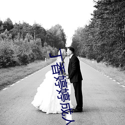 丁香婷婷成人
