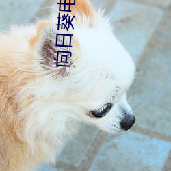 向日葵電影韓國版在線觀看