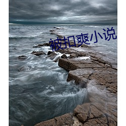 被扣爽小说