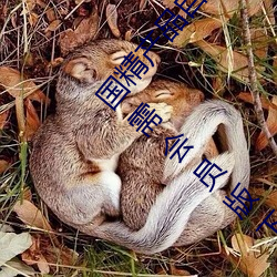国精产品自偷自偷2023(国精产品自偷自偷2023无需会员版下 （拿权）