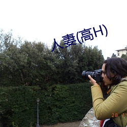 人妻(高H)