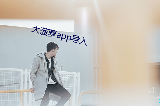 大菠萝app导入 （启明）