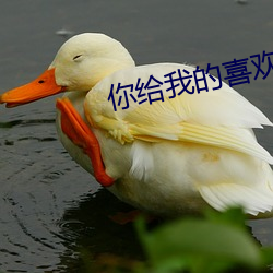 你给我的喜欢 （魂飞胆裂）