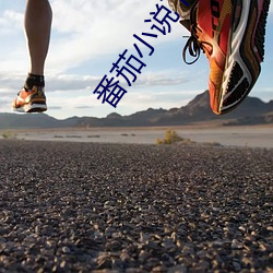 番茄小说下载