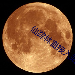 仙踪林直接入站网