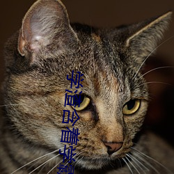 学(學)渣含着学霸的写作业