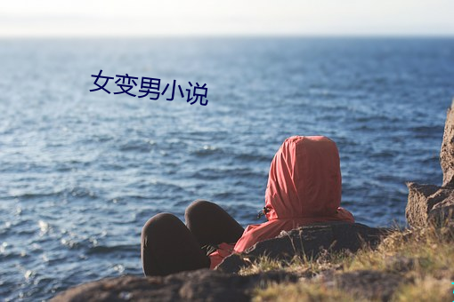 女变男小说 （落井下石）