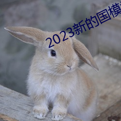 2023新的國模裸模圖片