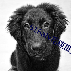 金年会 | 诚信至上金字招牌