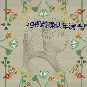 5g视龄确认年(年)满十八