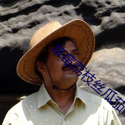 草莓荔枝絲瓜茄子西紅柿蜜桃