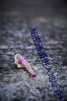 秘密通道進入地址3秒自動跳轉v1.0.8
