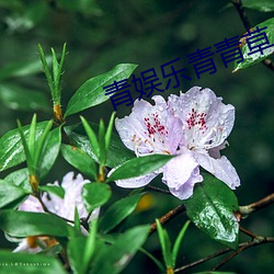 尊龙凯时-人生就是搏!