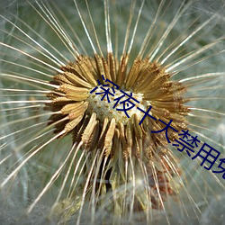 深夜十大禁用免费app软件