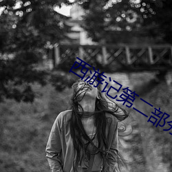 西游记第二部分集剧情概括
