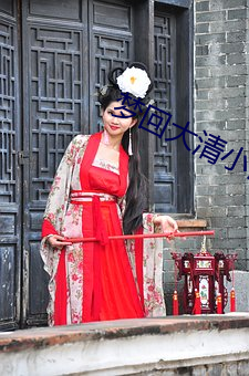梦回大(大)清小说(說)
