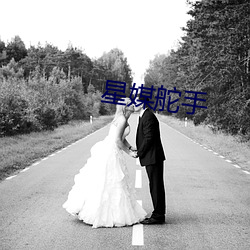 星(星)媒舵手