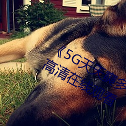 《5G天(tiān)天奭多人 运(yùn)动入口在(zài)线》免费高清(qīng)在线观看
