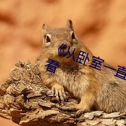 《從臥室一直C到廚房》免費在線觀看