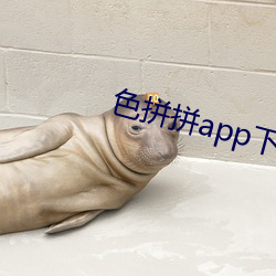 色拼拼app下載