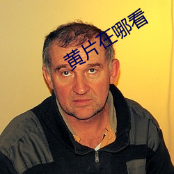 黄片(片)在哪看