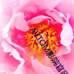 AVTOM影院官网新入口